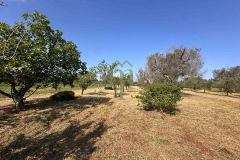Ruin i Brindisi, Brindisi, Brindisi - € 34 000 | Ref: Lamia Melograno - foto 25